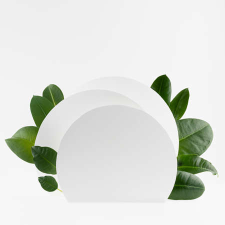 Fresh natural summer vacation eco abstract stage mockup for presentation cosmetic product, design, advertising with white semi circles as podium with tropical glossy green leaves in sunlight, square.の写真素材