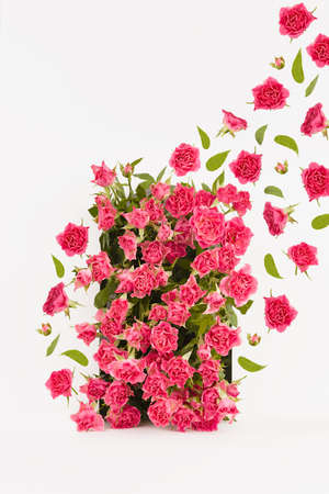 Summer pink spray roses as arches on white abstract scene mockup, soar stream of buds and green leaves, vertical. Template floral showcase for presentation of cosmetic, goods, advertising, design.の写真素材
