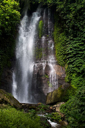 Tropical sunny landscape Bali - fresh summer wild powerful waterfall in jungle with lush green...