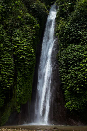 Tropical sunny landscape - fresh summer high waterfall in jungle with lush green foliage, rainforest, wet moss, stream of purity water in sunlight with bright splashes, vertical. Travel in Bali.の写真素材