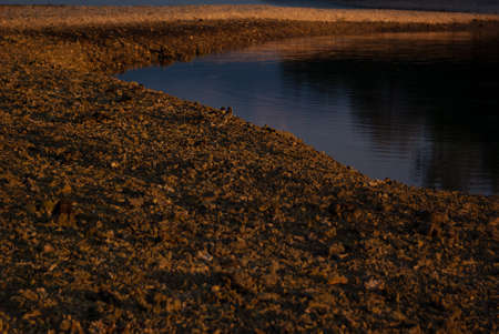 High brown rounded mound of pebble and dark smooth water of lake with black reflection, closeup. Abstract background, texture. Coral coast in low tide.の写真素材