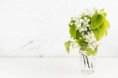 Summer fresh white flowers of blooming apple tree with young green leaves in transparent vase, copy space. Soft light simple white kitchen interior with marble tile and wood table in sunny morning.の写真素材