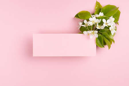 Spring pink blank card for text mockup soar with gentle white apple tree flowers, green leaves on...