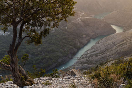 Breathtaking Sulak canyon view - depth steep slopes with green tree on trail, thin blue river in golden sunlight, soft haze on sunset. mountain landscape. Hiking, tourism, travel in the wild of Dagestan.の写真素材