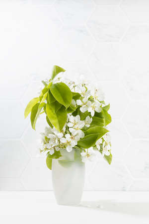 Fresh morning simple modern minimal home white interior with blooming apple tree branch, green leaves as bouquet in frosty vase in sunlight on wood table, marble tile wall, copy space, vertical.の写真素材