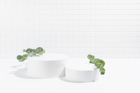 Summer abstract white stage, two round podiums mockup for presentation cosmetic products, advertising, design in interior, tiny mosaic tile, fresh gentle green eucalyptus twigs in sunlight, shadow.の写真素材