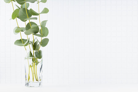 Modern white kitchen interior - soft light tiny ceramic tiles on wall, summer bouquet of green eucalyptus twigs in glass, copy space. Background for presentation cosmetic products, spa, design.の写真素材