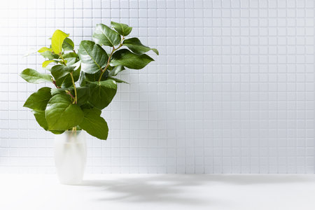 Fresh sunny abstract bathroom interior with lush green leaves of tree in sunbeams, shadows, tiny ceramic tiles on wall, copy space. Summer background for presentation cosmetic products, spa, design.の写真素材