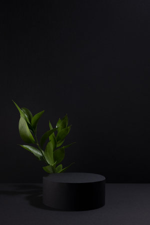 Black abstract stage with one circle podium mockup, fresh tropical green leaves, template for presentation cosmetic products, goods, design, advertising, sale, elegant summer modern style, vertical.の写真素材