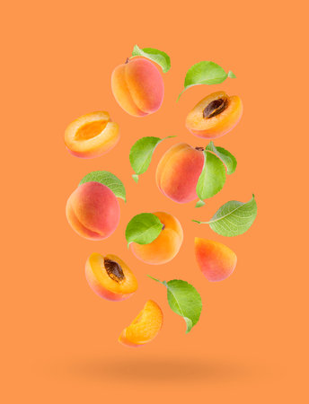 Ripe orange apricot with pink side, green leaves as flow fly or fall as art composition. Whole, half, piece fruits on light orange background. Summer fruits for advertising, design, label product.の写真素材