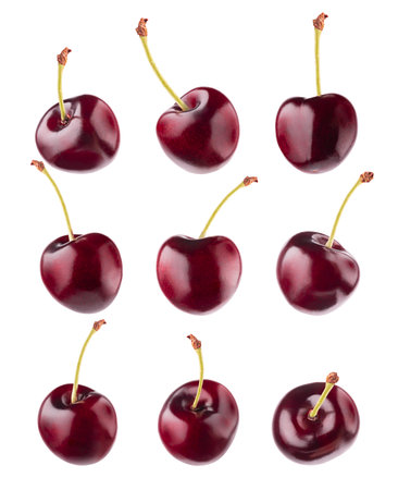 Juicy red cherry collection. Whole fruits closeup, different sides, isolated on white background, studio. Summer fresh raw fruits as design element for advertising, card, poster.の写真素材