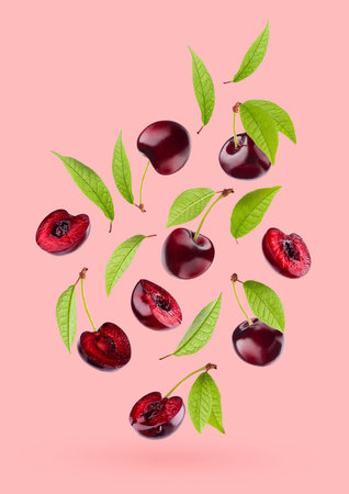 Juicy red cherry with green leaves as flow fly or fall as art composition. Whole, half pieces fruits on pastel pink background with shadow. Ripe raw fruits for advertising, design, label product.の写真素材