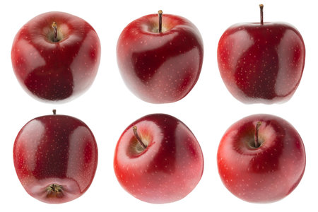 Juicy red apples rich set, whole ripe bright red apples from different sides, studio shot, isolated on white background. Summer fresh natural fruits as design elements.の写真素材