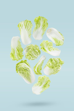 Raw green chinese cabbage with whole head, leaves levitation as art flow composition, on blue background. Natural organic summer food as design for salads, detox diets, healthy eating, advertising.の写真素材