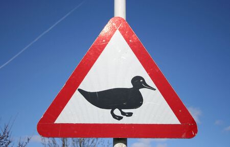 Caution ducks signの写真素材