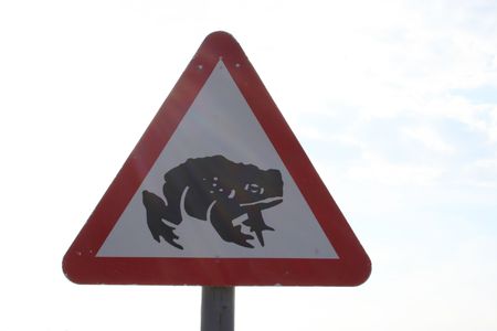Warning toad on road signの写真素材