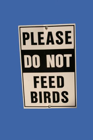 Please do not feed the birds signの写真素材