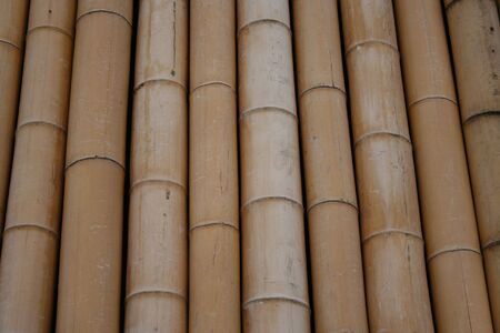 wall of parallel bamboo poles backgroundの写真素材