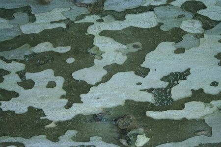 close up view of bark on tree trunk backgroundの写真素材