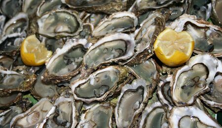 display of fresh oysters ready to eatの写真素材