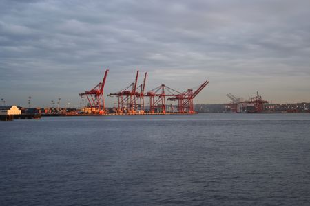 cranes at port of Seattle Washingtonの写真素材