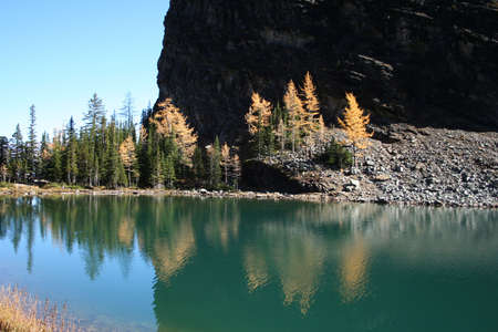 Autumn colour by Lake Agnes Canadian Rockies