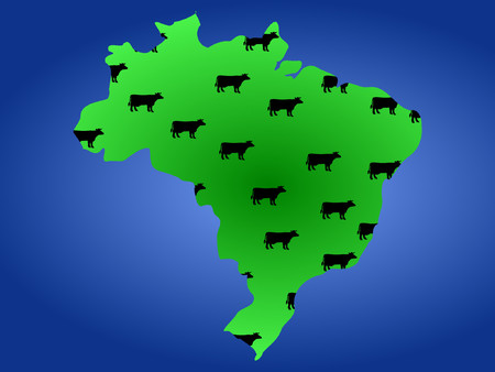 Map of Brazil with green fields and herd of cowsのイラスト素材