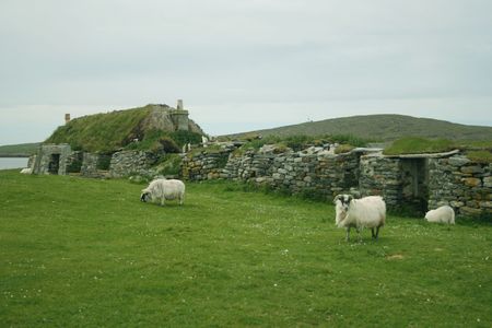 ruined thatch cottage with sheep in countrysideの写真素材