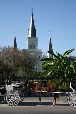 horse and carriage with St Louis Cathedral Jackson Square New Orleansの写真素材