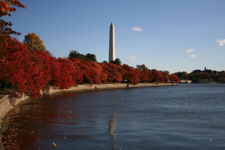 Washington Monument and tidal pool in autumn Washington DCの写真素材
