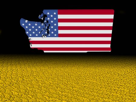 Washington map flag with dollar coins foreground illustrationの写真素材