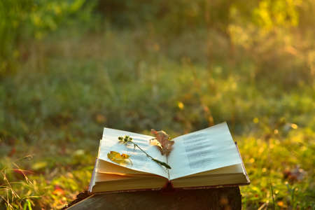 Vintage book of poetry outdoors with fallen leaves on itの写真素材