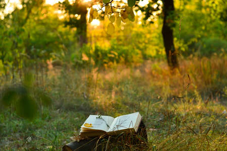 Vintage book of poetry outdoors with fallen leaves on it, under a tree in front of blurred sunsetの写真素材