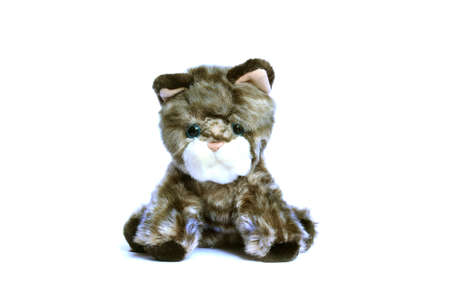 Sad soft toy kitten with blue eyes isolated on white backgroundの写真素材