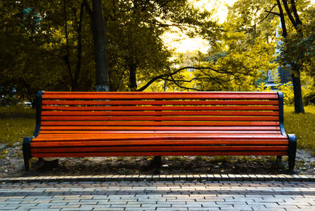 Orange bench in city park in front of trees and sunsetの写真素材