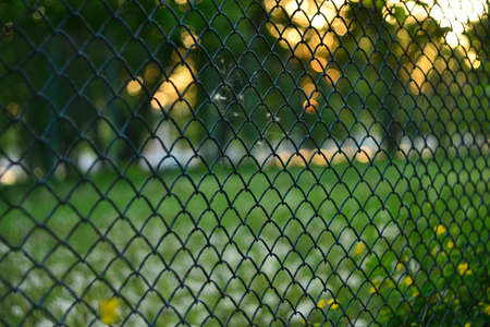 Lattice abstract backgroundの写真素材