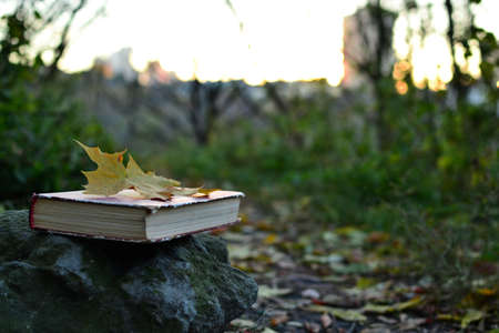 Vintage book outdoors on a stoneの写真素材