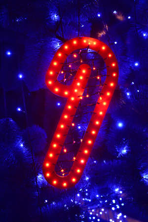 Luminous Christmas candy on Christmas treeの写真素材