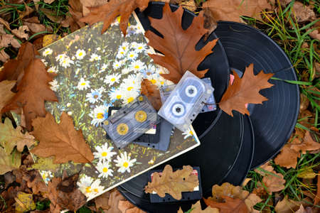 Old cassettes and records with fallen leaves, vintage styleの写真素材