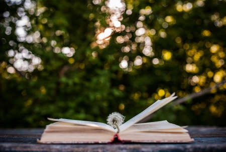 Poetry book. Summer backgroundの写真素材