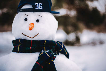 Portrait of a snowman wearing scarf and cap while standing at winter parkの写真素材