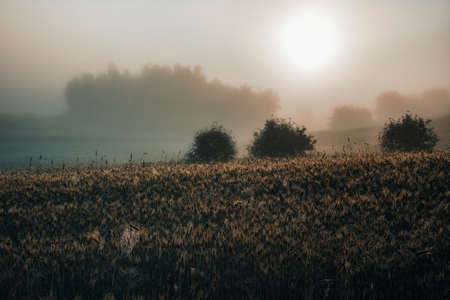 Because a new day is getting up, a new dayの写真素材