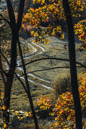 Field path on an autumn morning (Poland, Kashubia)の写真素材