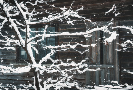 Abandoned house with a secret gardenの写真素材