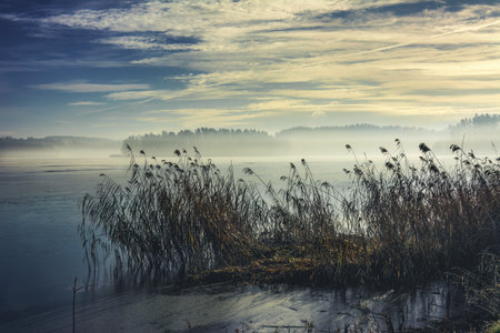 Lake GowidliÅskie in morning winter scenery - Poland, Pomeraniaの写真素材