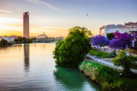 Riverside of Sevilla with trees in blossom at the sunset and the skyscraper in the backgroundの写真素材