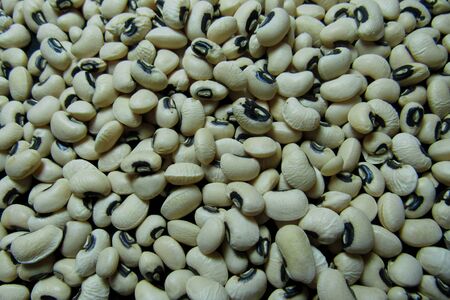 background texture beansの写真素材