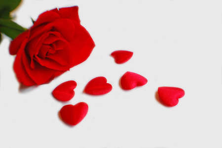 rose and red hearts for valentines dayの写真素材