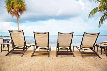 four loungers line the beach front の写真素材