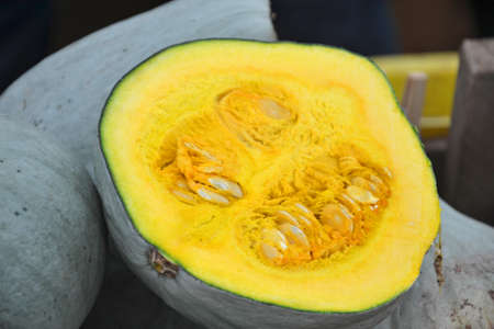 Blue hubbard variety of squash cut in half at marketの写真素材